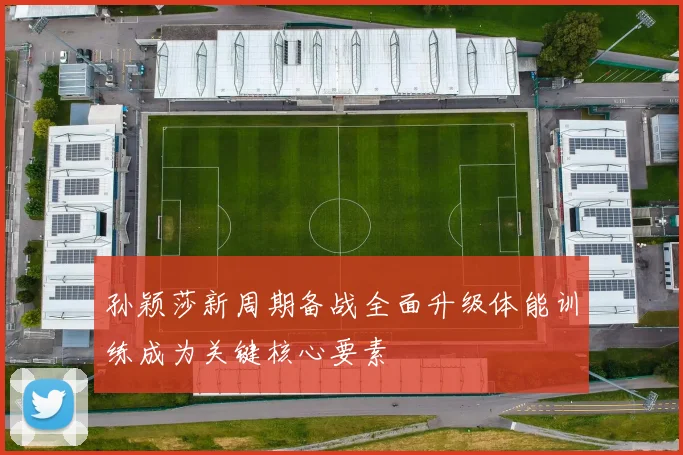 孙颖莎新周期备战全面升级体能训练成为关键核心要素